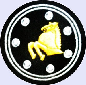 File:6th Armoured Division, Pakistan Army.jpg