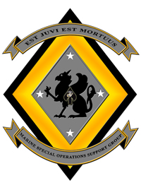 File:Marine Special Operations Support Group, USMC.jpg