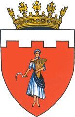 Coat of arms of Soroca (district)