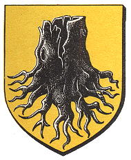 Blason de Holtzheim / Arms of Holtzheim