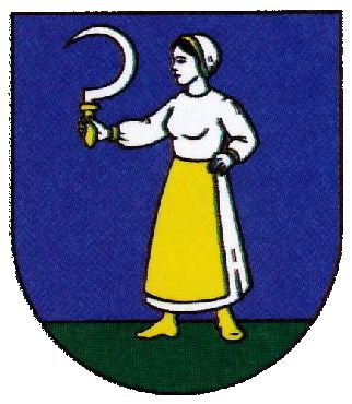 Arms of Ďurčiná
