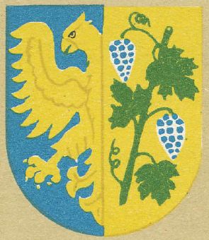 Arms of Strzelce Opolskie