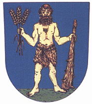 Coat of arms (crest) of Žehušice