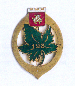Coat of arms (crest) of the 123rd Infantry Regiment, French Army