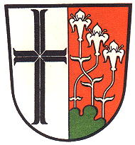 Wappen von Hammelburg/Arms (crest) of Hammelburg