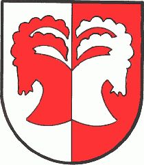 Wappen von Sankt Leonhard im Pitztal