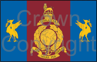 Coat of arms (crest) of Royal Marines Reserve Merseyside