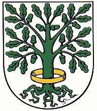 Wappen von Dingelstädt/Coat of arms (crest) of Dingelstädt