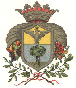 Stemma di Intra/Arms (crest) of Intra