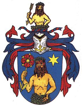 Coat of arms (crest) of Kostelec nad Černými lesy
