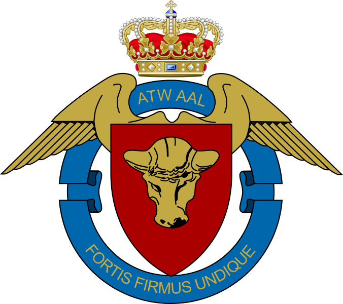 File:Air Transport Wing Aalborg, Danish Air Force.png