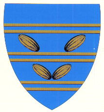 Blason de Mondicourt / Arms of Mondicourt