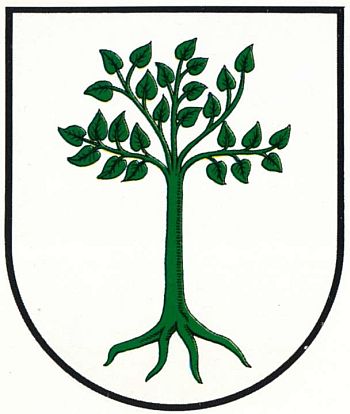 Arms of Kruszwica