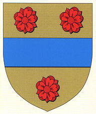 Blason de Echinghen/Arms (crest) of Echinghen