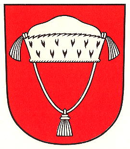 Wappen von Knonau / Arms of Knonau