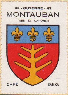 File:Montauban.hagfr.jpg