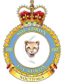 No 410 Squadron, Royal Canadian Air Force.png