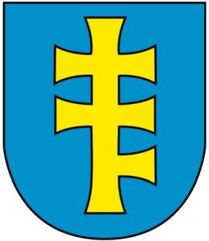 Arms of Pilawa