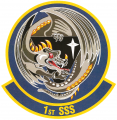 1st Space Surveillance Squadron, US Air Force.png