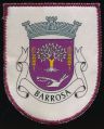 Barrosa.patch.jpg