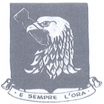 Coat of arms (crest) of the 96th Bombardment Group, USAAF