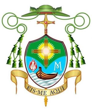 Arms (crest) of Teodoro Mendes Tavares