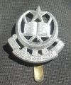 Army Education Corps, Pakistan Army.jpg