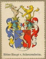 Wappen Ritter Haupt von Scheurenheim
