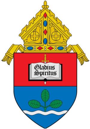 Arms (crest) of Archdiocese of Nueva Segovia