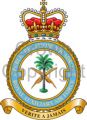 No 7644 (Volunteer Reserve) Public Relations Squadron, Royal Auxiliary Air Force.jpg