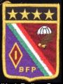 1st Parachute Fusiliers Battalion, Mexican Air Force.jpg