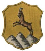 Wappen von Tamsweg/Arms (crest) of Tamsweg
