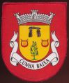 Brasão de Cunha Baixa/Arms (crest) of Cunha Baixa