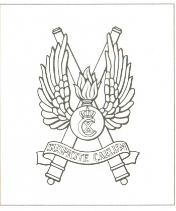 Coat of arms (crest) of the The Sealand Air Defence Regiment, Danish Army