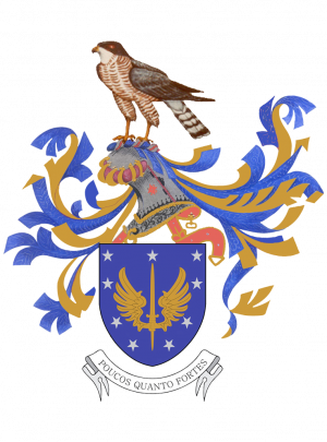 Azores Air Command, Portuguese Air Force3.png