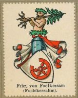 Wappen Freiherr von Foelkersam
