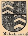 Wappen von Babenhausen (Hessen)/ Arms of Babenhausen (Hessen)