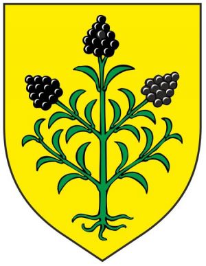 Arms of Kalinovac