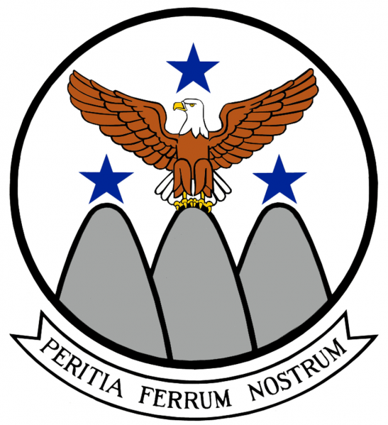 File:307th Aircraft Maintenance Squadron, US Air Force.png