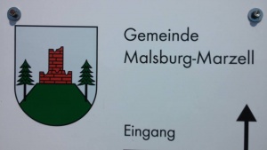 Wappen von Malsburg-Marzell