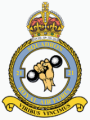 No 21 Squadron, Royal Air Force.png
