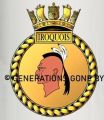 HMS Iroquois, Royal Navy1.jpg
