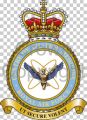 Medical Services, Royal Air Force.jpg