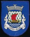 Brasão de Cotas/Arms (crest) of Cotas