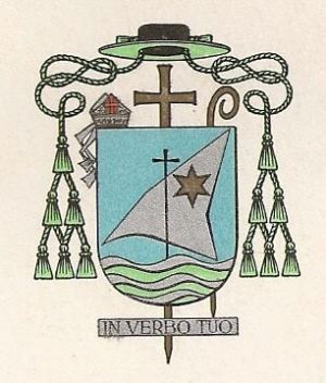 Arms of Julio Tavares Rebimbas