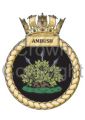 HMS Ambush, Royal Navy.jpg