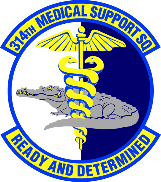 File:314th Medical Support Squadron, US Air Force.png
