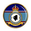 No 175 Squadron, Royal Air Force.jpg
