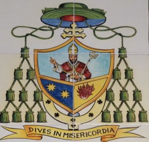 Arms of Gerardo Pierro