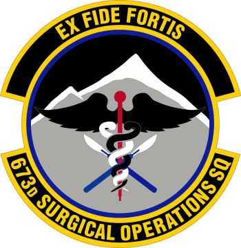 Coat of arms (crest) of the 673rd Surgical Operations Squadron, US Air Force